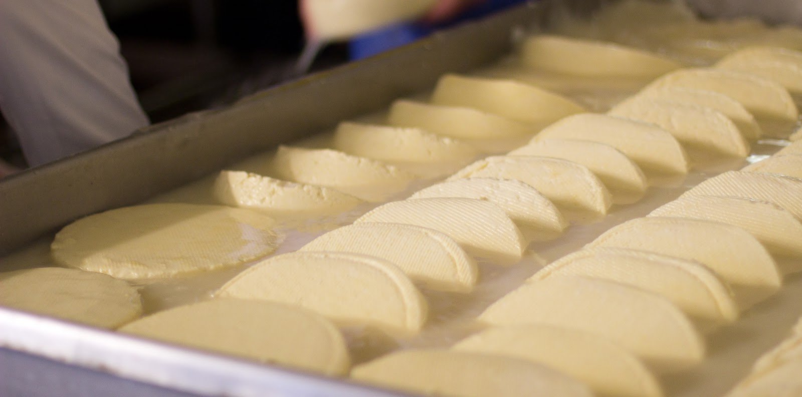 Salga em salmoura: controle de qualidade para queijo minas