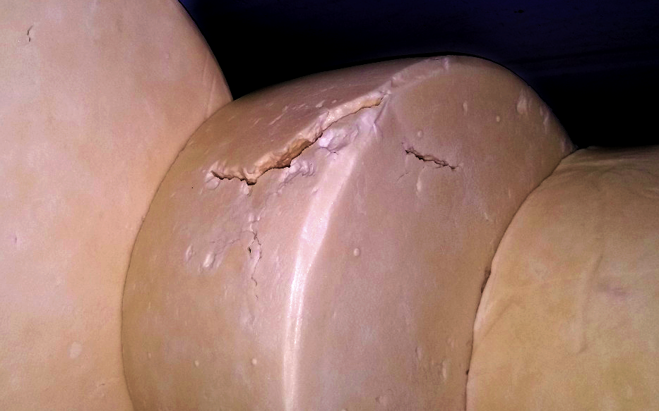Trincas no parmesão: cuidados que evitam o problema