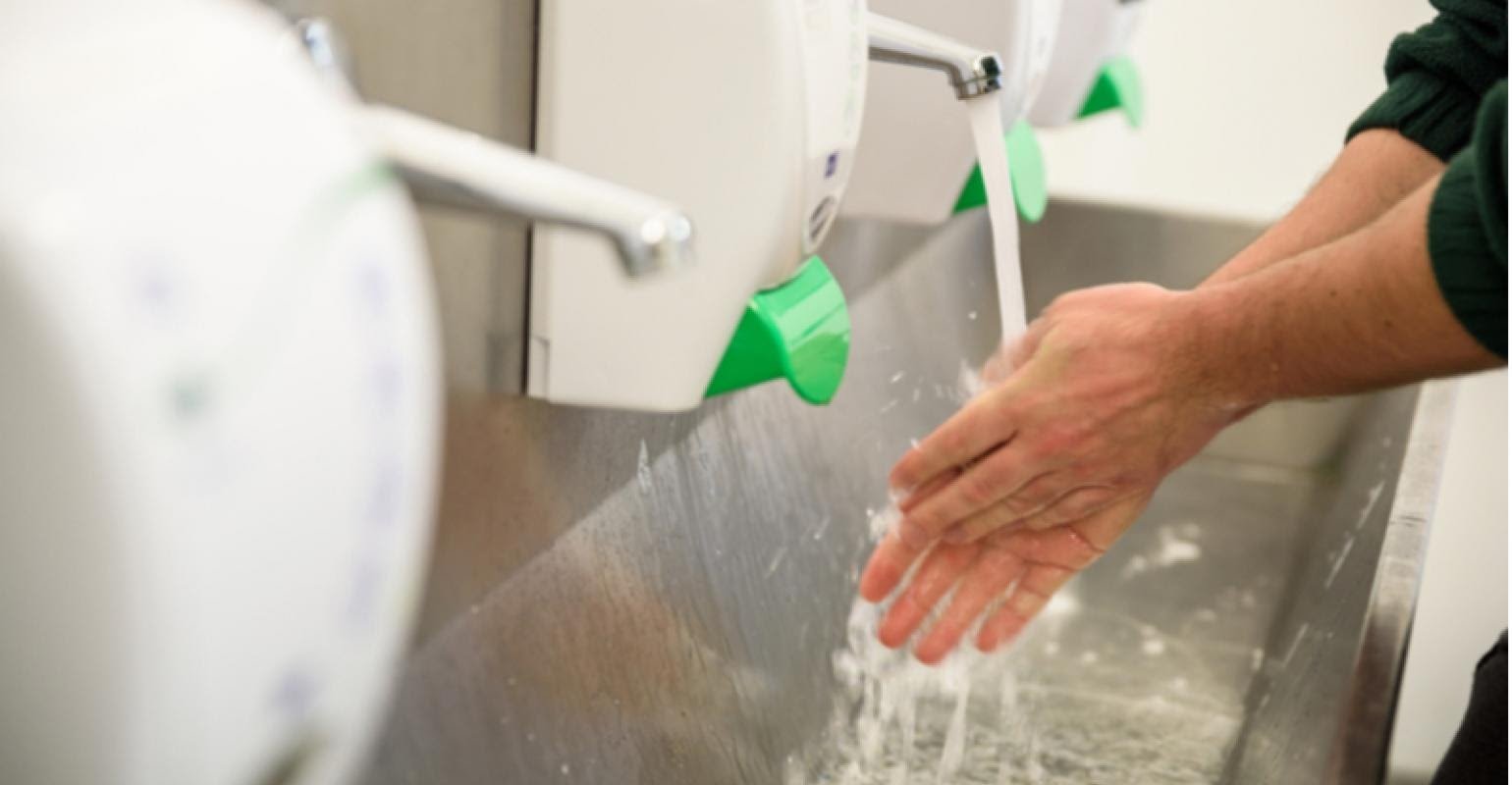 Boas práticas de higiene para adotar na sua produção de queijos