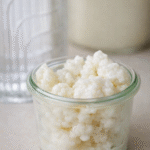 Kefir